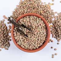 Yeşil Mercimek 1 Kg