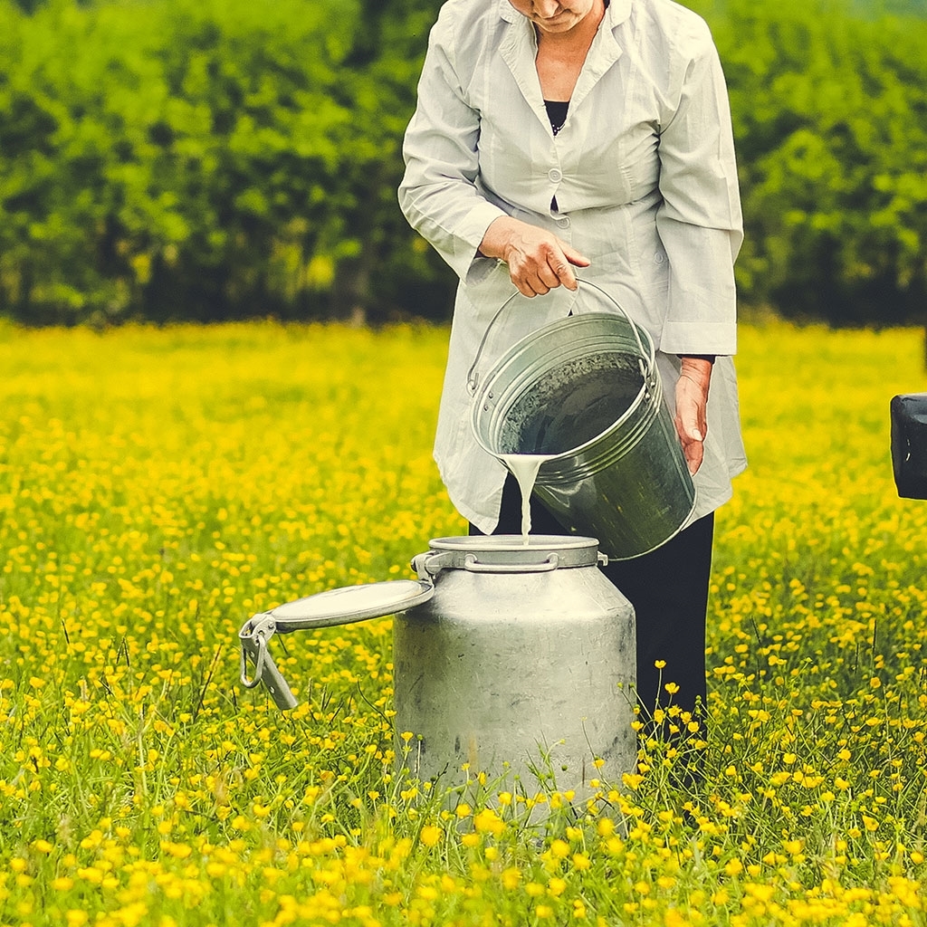 Eşek Sütü 1 Litre