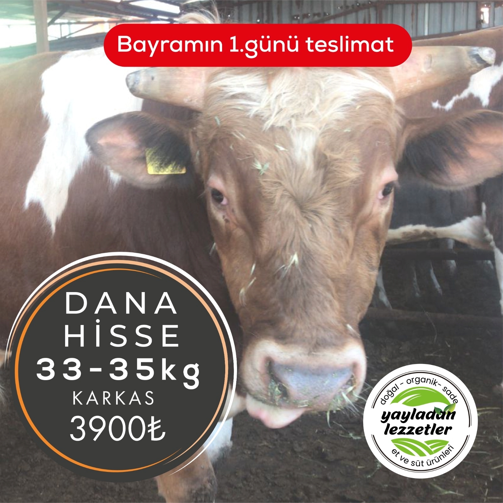 resm Dana Kurbanlık Hisse (33-35Kg) Karkas Et