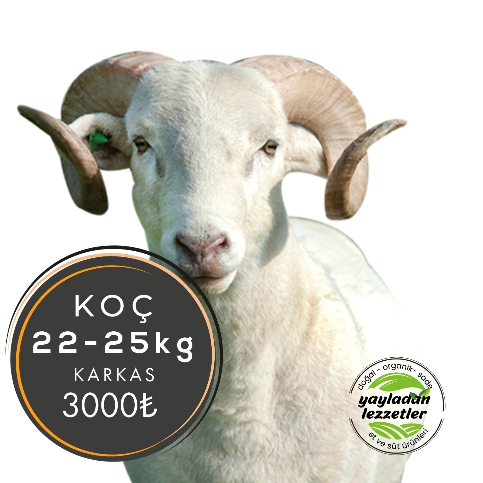resm Koç Kurbanlık Hisse (22-25Kg) Karkas Et