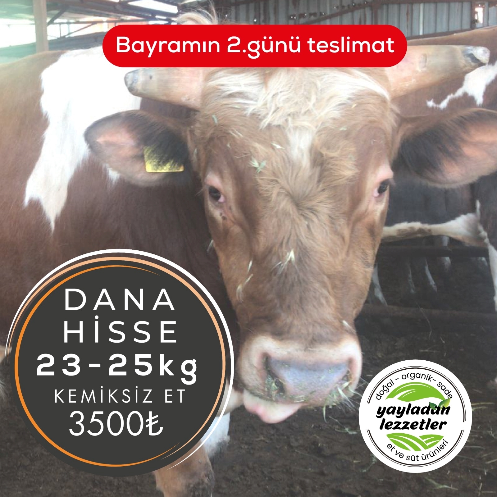 resm Dana Kurbanlık Hisse (23-25Kg) Kemiksiz Et