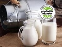 resm Tam yağlı inek sütü 1 Lt