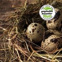 resm Bıldırcın Yumurtası 12’li