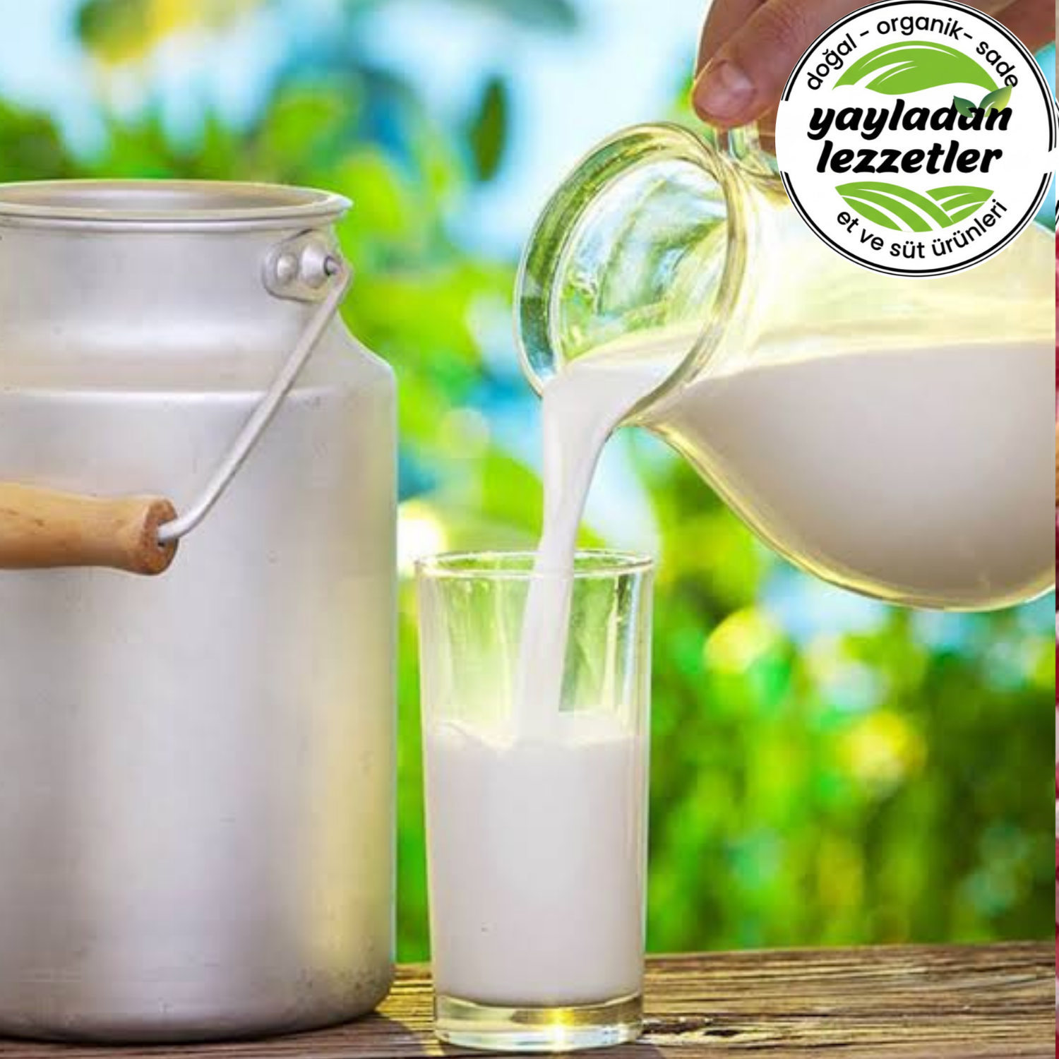 resm Manda Sütü 3 LİTRE