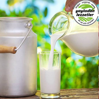 Resim Manda Sütü 3 LİTRE